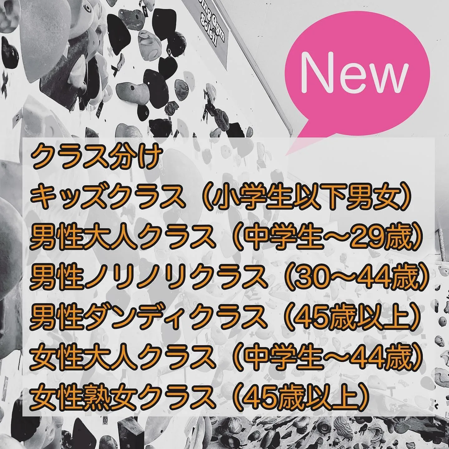 20230320215012_0_3.jpg