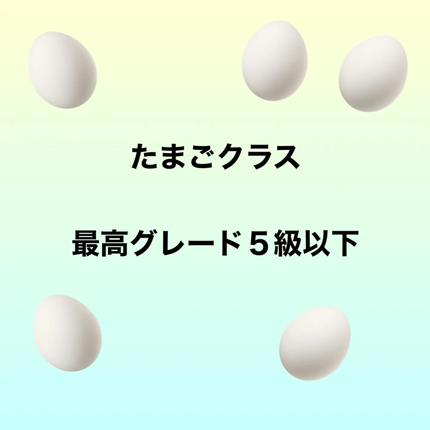 FINAL COMPETITION 2023のご案内