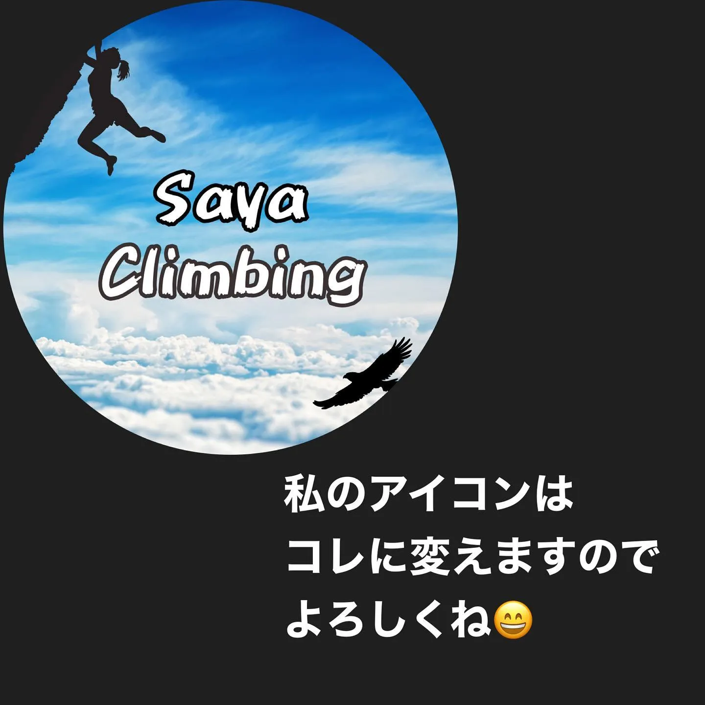 ボルダリング上達にはさやクライミングのYouTube「ボルダ...