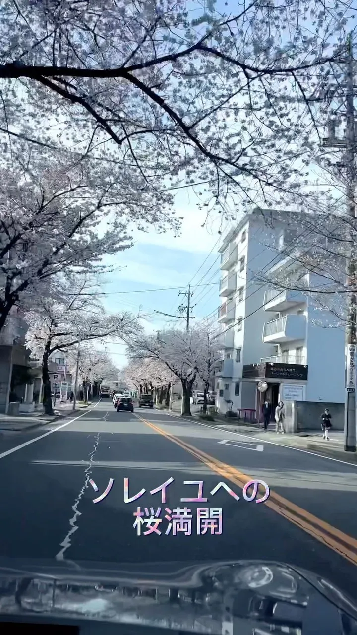 花見しながらクライミングジムソレイユへ🌸