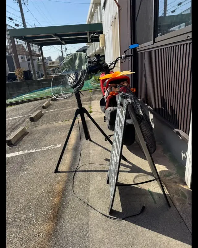徐々に暖かくなってきましたねぇ〜(*´꒳`*)